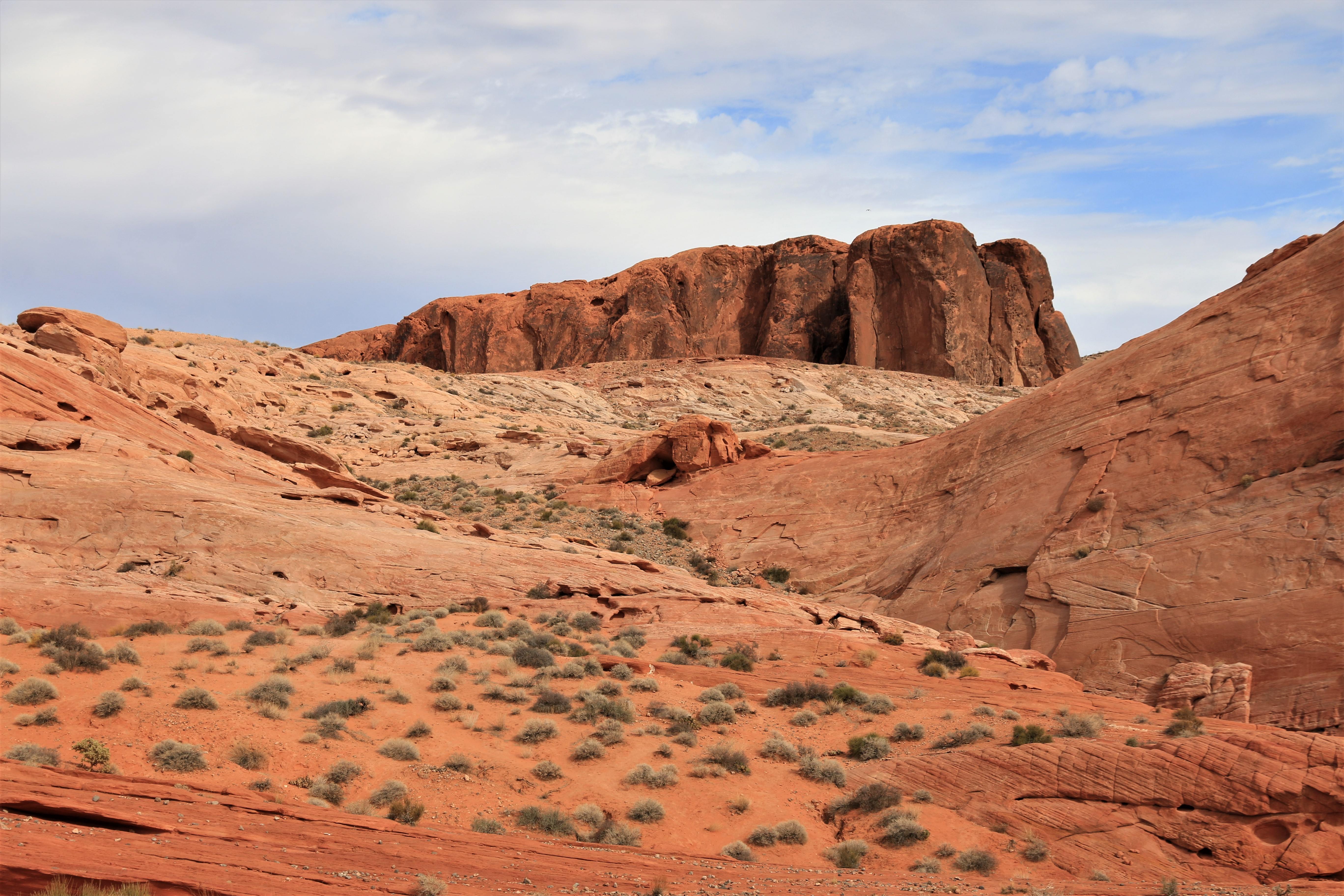 Nevada